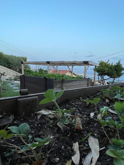 Superbe Terrasse Avec Vue Panoramique Sur La Mer Marsilya Dış mekan fotoğraf