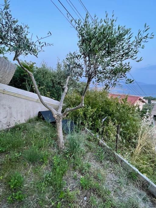 Superbe Terrasse Avec Vue Panoramique Sur La Mer Marsilya Dış mekan fotoğraf